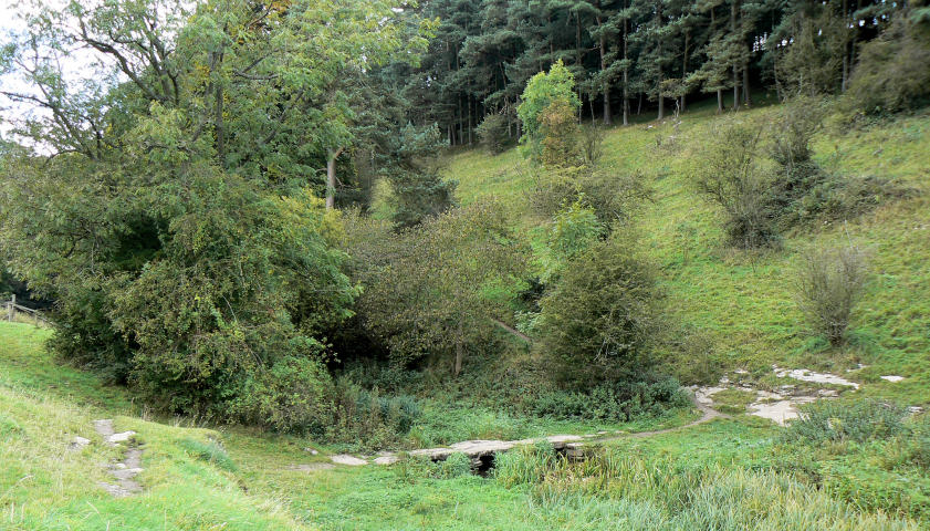 Bradford Dale Bradford Dale
